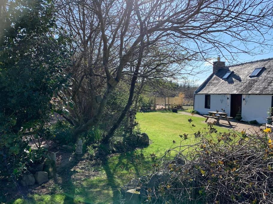 Cosy & Rustic Retreat - Woodland Cottage. Nairn Exterior foto